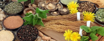 Periodontal Toothpaste and Adaptogens